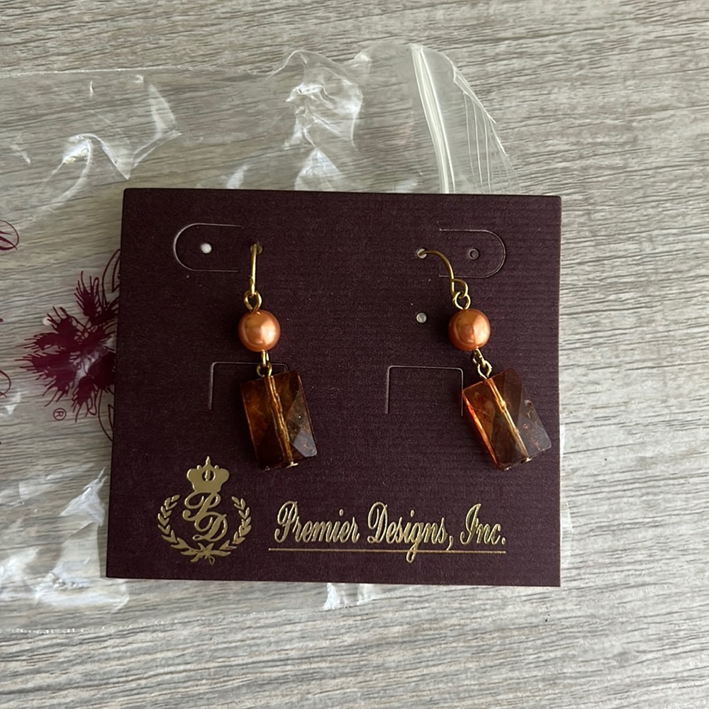 Premier Designs Earrings/8
